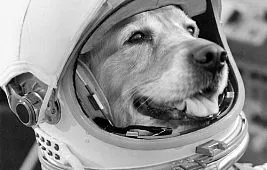 «Спутник-7»: космический аппарат, не вышедший на орбиту