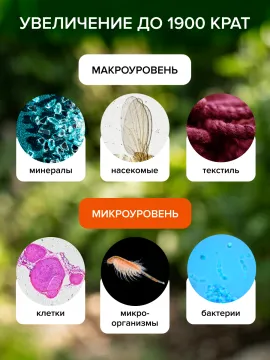 Фотомикроскоп Levenhuk Kelvin Touch KM3, изображение 33