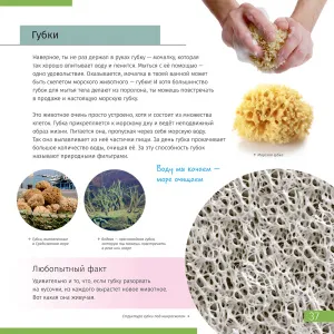 Книга знаний «Невидимый мир». Твердая обложка, изображение 7