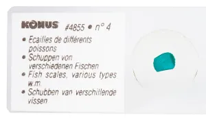 Набор микропрепаратов Konus 10: «Рыбы, лягушки и другие земноводные», изображение 5