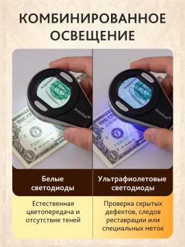 Лупа цифровая Levenhuk ERGO 10, изображение 18