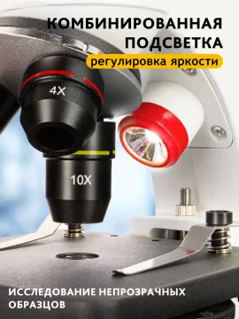 Микроскоп Levenhuk Discovery Pico с книгой, изображение 20