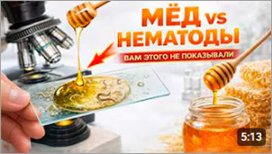 Мед vs нематоды